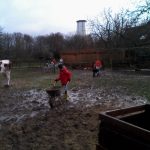 thumb_IMG_20160113_103252[1]_1024