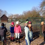 thumb_IMG_2544_1024