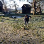thumb_IMG_2546_1024