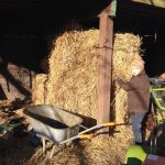 thumb_IMG_2548_1024