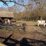 thumb_IMG_2552_1024