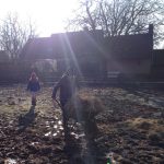 thumb_IMG_2554_1024